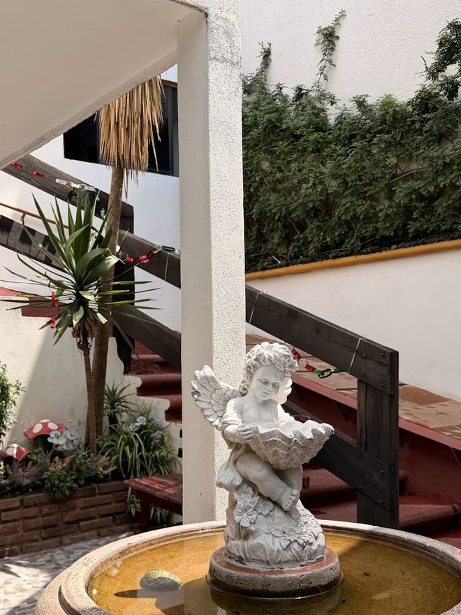 Fuente con un ángel rodeada de plantas en el patio de la casa